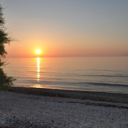 塔索斯公寓 Corfu  外观 照片