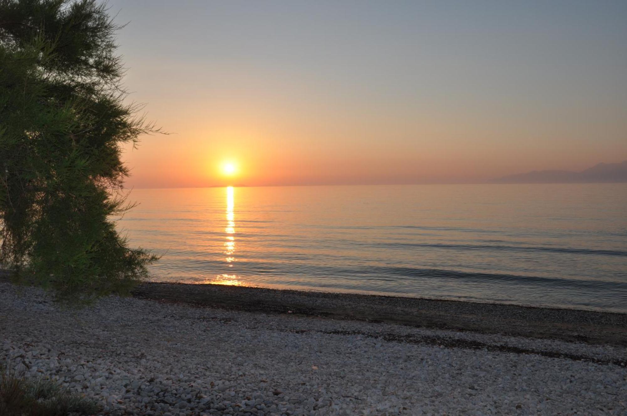 塔索斯公寓 Corfu  外观 照片